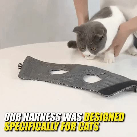 π±Cat Vest Harness & Leash Set