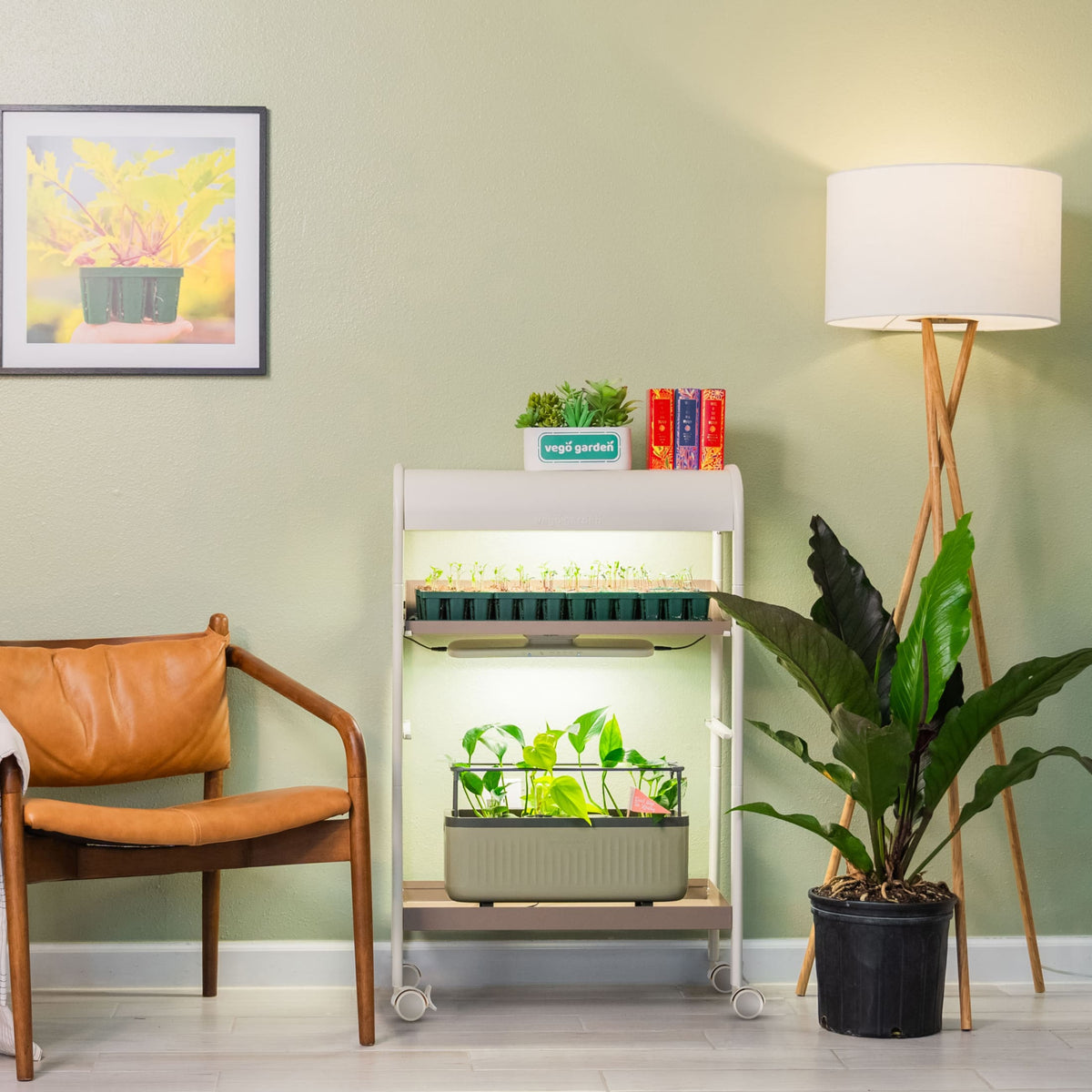 2 Tier Grow Light Garden