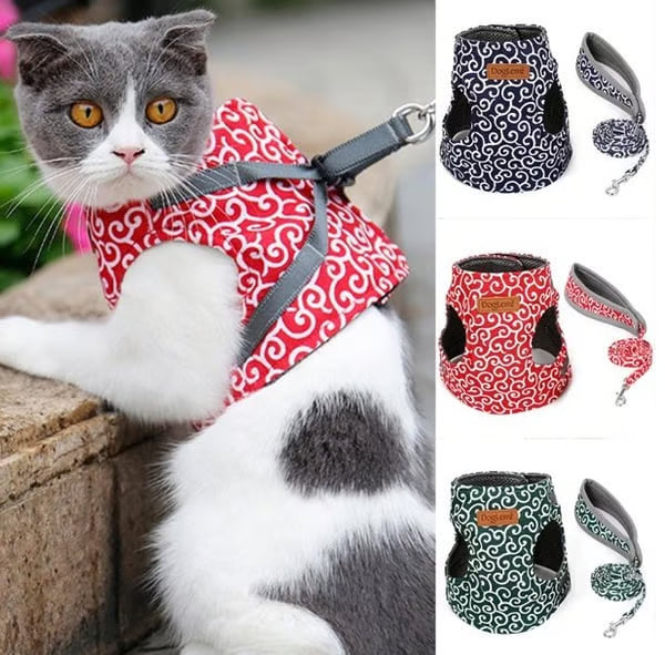 π±Cat Vest Harness & Leash Set