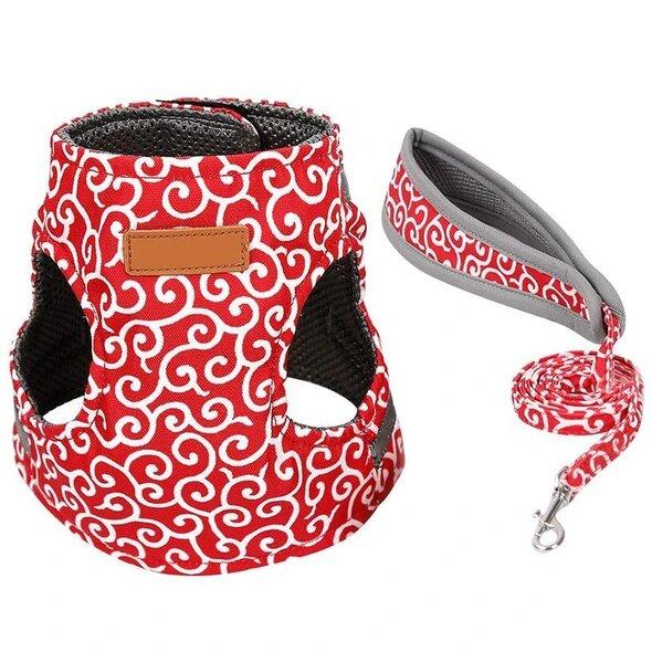 π±Cat Vest Harness & Leash Set