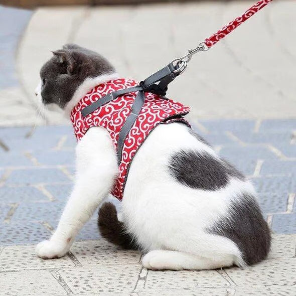 π±Cat Vest Harness & Leash Set