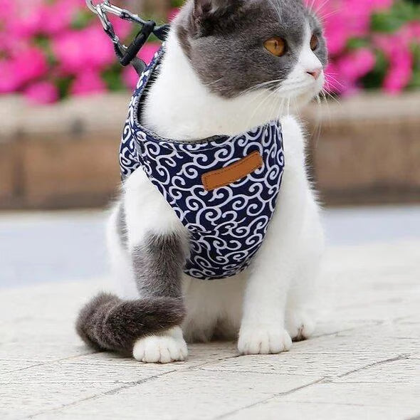 π±Cat Vest Harness & Leash Set