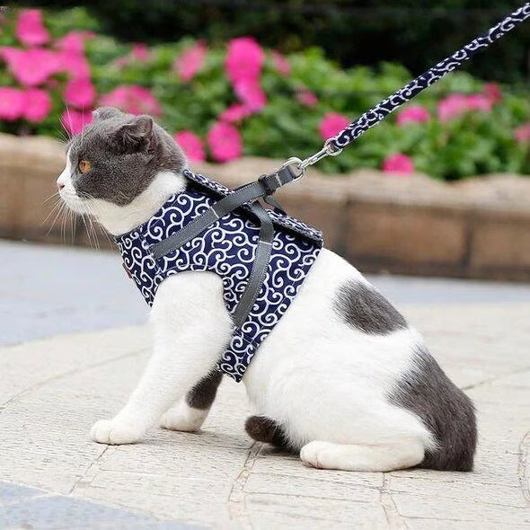 π±Cat Vest Harness & Leash Set