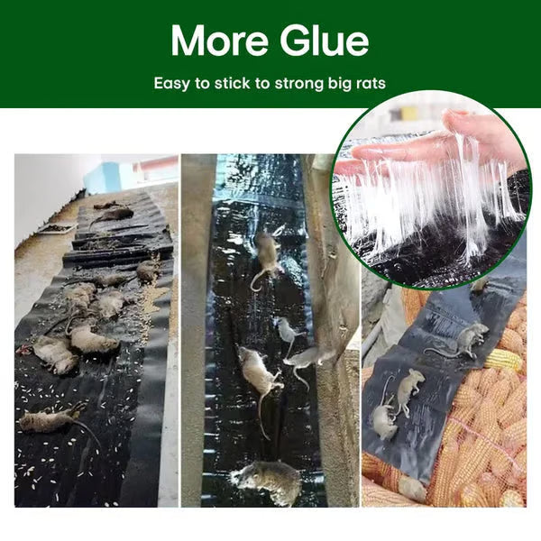 🔥HOT SALE🔥Household Mon-woven Strong Trap Sticky Mouse Blanket