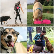 Collapsible Travel Dog Bowl Set