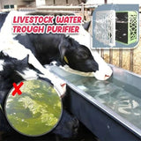 Horse Trough Water Purifier Cube