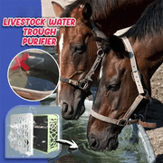 Horse Trough Water Purifier Cube