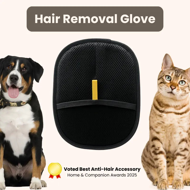 Eco-Friendly Pet Hair Removal Glove