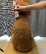 Silent Pro Cordless Pet Clipper Kit