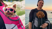 Hands-Free Dog Carrier Backpack