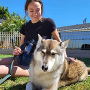 DogJet Pro Pet Bath Sprayer