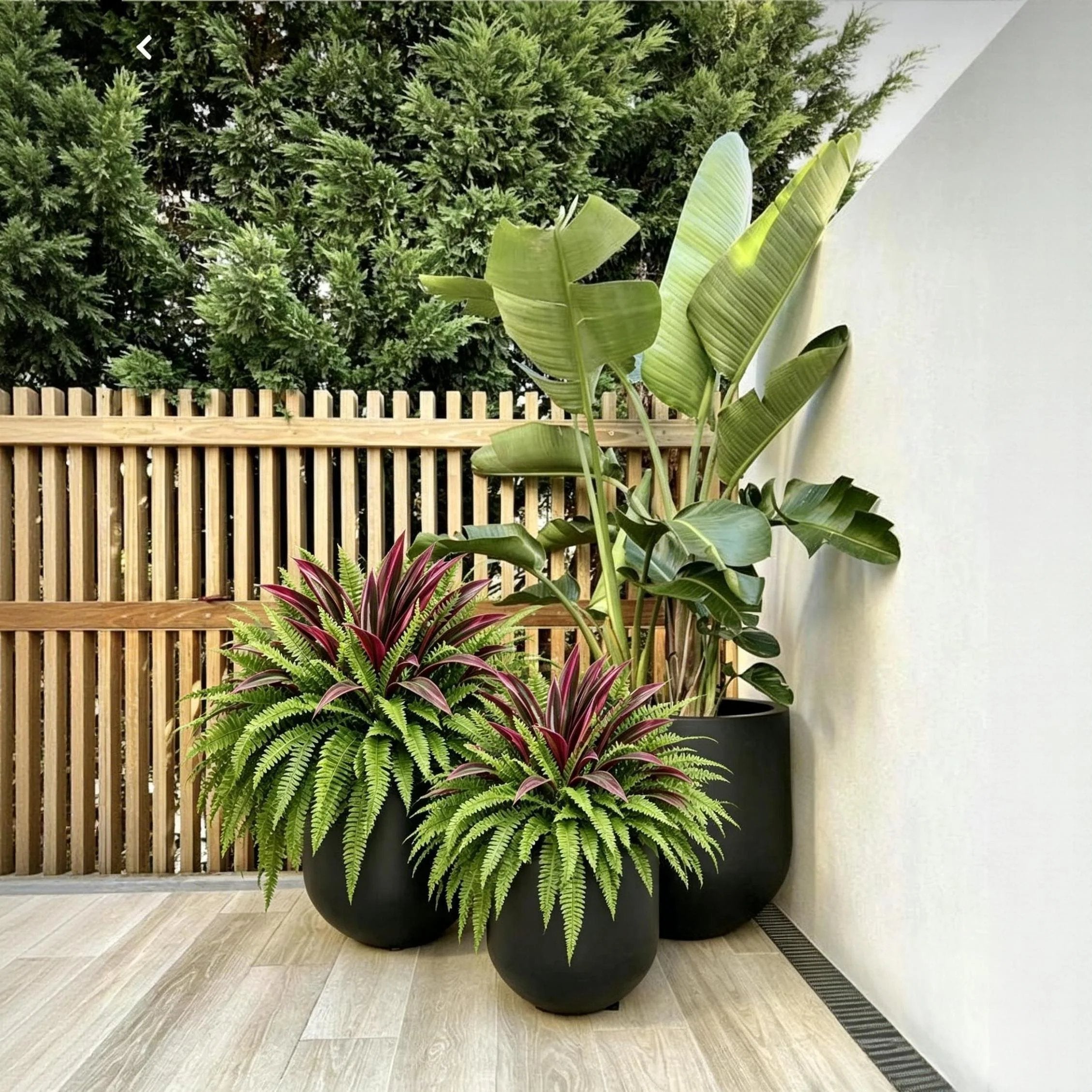 🔥UV-Resistant Artificial Fern & Red Dracaena Decorative Plants – Full, Lush & Fade-Resistant!