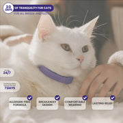 GentlePaws Cat Calming Collar (2-Pack)