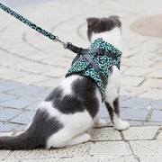 🐱Cat Vest Harness & Leash Set