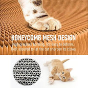 Magic Cat Scratcher — Foldable Donut Toy