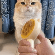 Portable Pet Hair Cleaner Brush