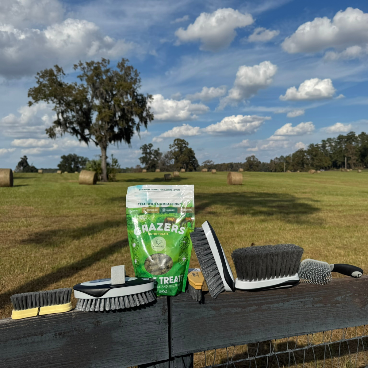 Daily Bonding Kit & Grazers