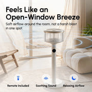 Spin360 Fan Bundle Offer