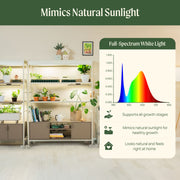 4 Tier Grow Light Garden with Storage