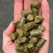 Grazers Nutri-Treats - Forage-Based, Healthy Horse Treats