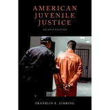 American Juvenile Justice - Paperback