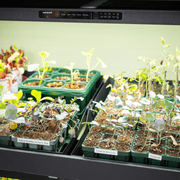 Ultimate Grow Light Garden