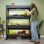 Ultimate Grow Light Garden