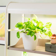 4 Tier Grow Light Garden Pro