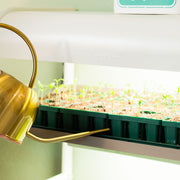 4 Tier Grow Light Garden Pro