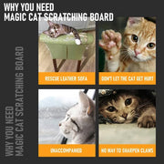 Magic Cat Scratcher — Foldable Donut Toy