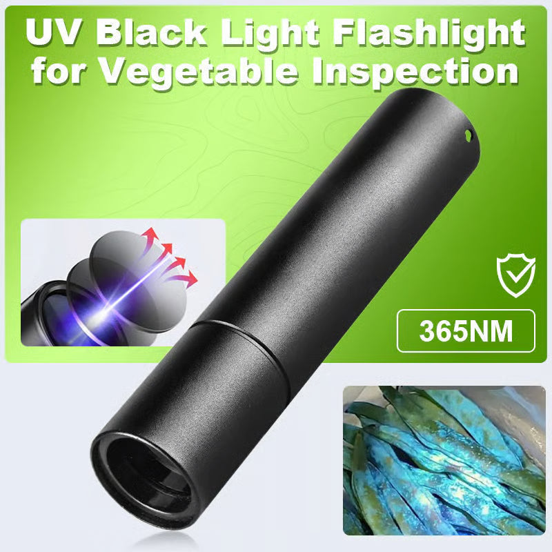 ✨Buy 2 Get 1 Free🛡️UV Black Light Flashlight for Vegetable Inspection