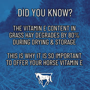 Daily Natural Vitamin E - High Bioavailability Antioxidant Support