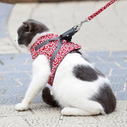 🐱Cat Vest Harness & Leash Set