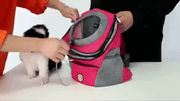Hands-Free Dog Carrier Backpack