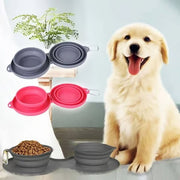 Collapsible Travel Dog Bowl Set