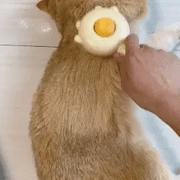 Portable Pet Hair Cleaner Brush
