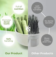Cat Grass Dental & Digestive Sticks (6-Pack)