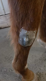 Hydra-Heal ClearPatch | Transparent Adhesive Bandage