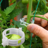 Garden Vine Plant Support Clips Style 2