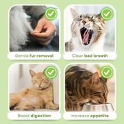 Cat Grass Dental & Digestive Sticks (6-Pack)