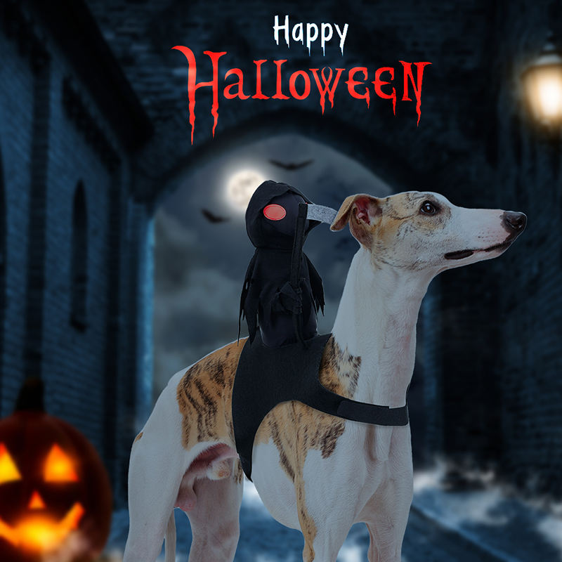 🐱Dark Harvest Knight Transformation Pet Costume - One Tiny Rider. A Whole Lot of Howls.