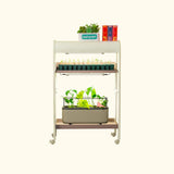 2 Tier Grow Light Garden