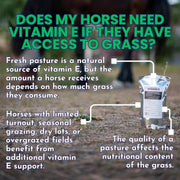 EBS Natural Vitamin E Farm Pricing